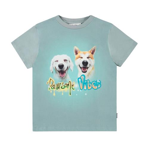 Molo Rame Short Sleeve T-Shirt Pawsome Vibes 116 cm  Blå  116 cm  mand