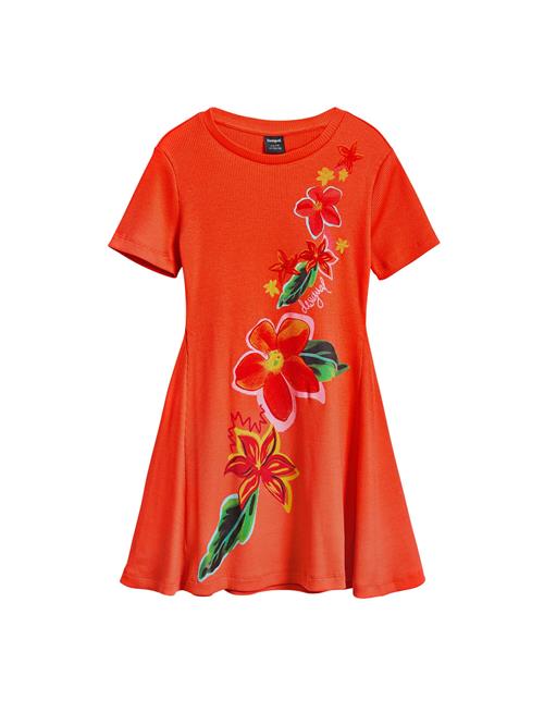 Desigual Kjole  blandingsfarvet / rød