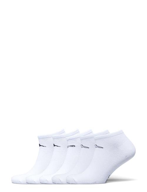 Footies - Trex Dk 5 Pack KAPPA White