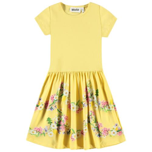 Molo Cissa Short-Sleeved Dress Garlands 146/152 cm  Gul  146/152 cm  kvinde