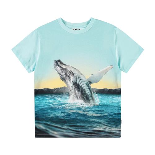 Molo Rame Short Sleeve T-Shirt Whale Jump 122 cm  Blå  122 cm  mand