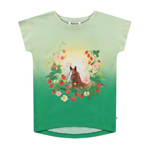 Molo Ragnhilde T-Shirt Beauty 116 cm  Grøn  116 cm  kvinde
