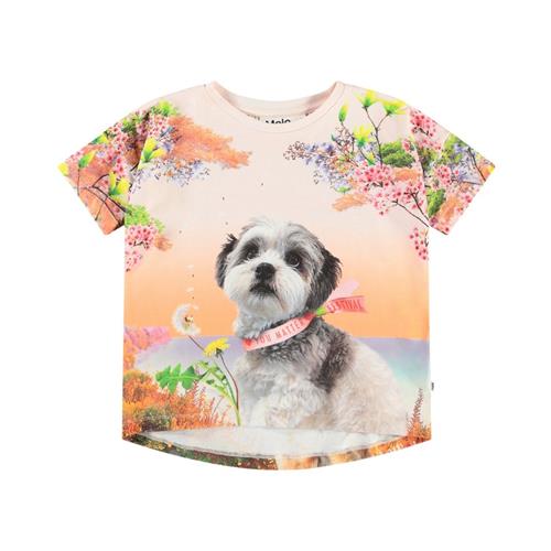 Molo Raeesa Short Sleeve T-Shirt Festivalgoers 140 cm  Orange.  140 cm  kvinde