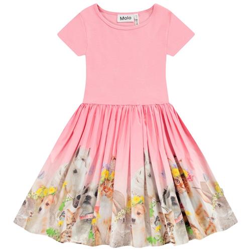 Molo Cissa Short-Sleeved Dress Midsummer 98/104 cm  Lyserød  98/104 cm  kvinde