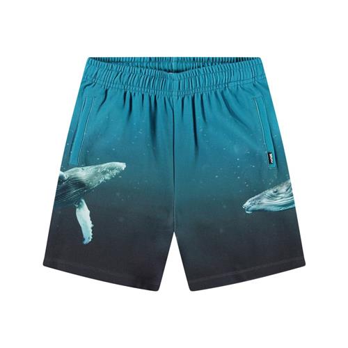 Molo Amil Soft Pants Whale Dive 140 cm  Blå  140 cm  mand