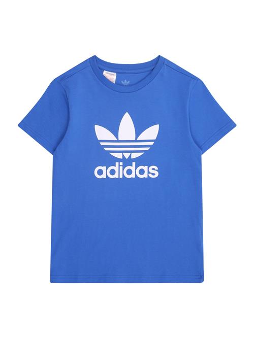 ADIDAS ORIGINALS Shirts 'Trefoil'  royalblå / hvid