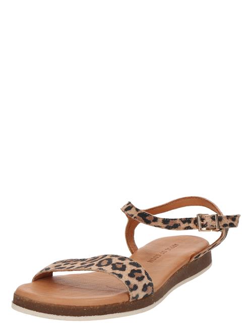 Apple of Eden Sandaler 'Marisa'  brun / cappuccino / sort