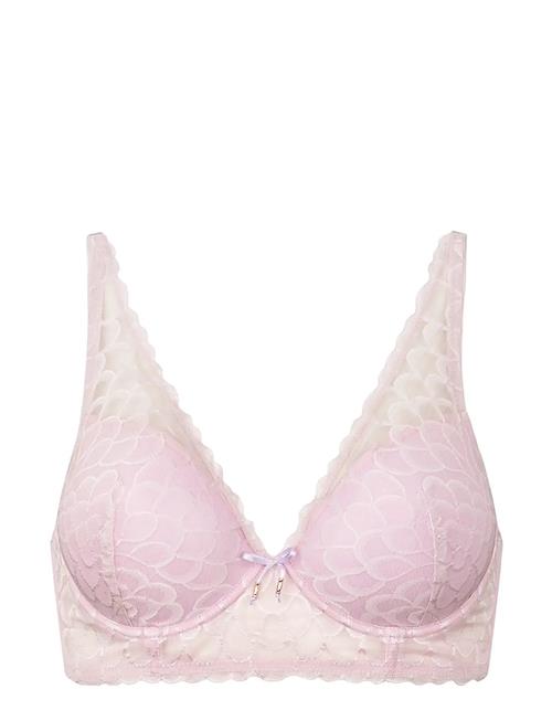 Leia Bra Fill Missya Pink