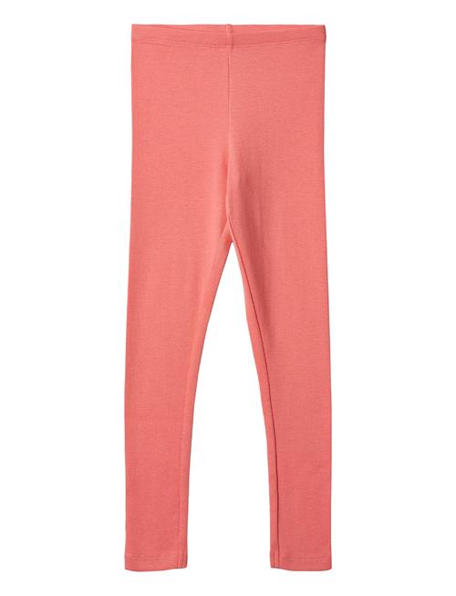 Rib Leggings Wheat Coral
