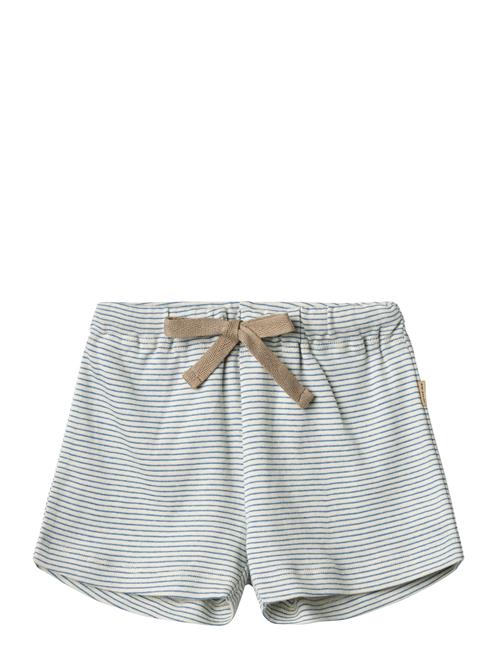 Jersey Shorts Vic Wheat Blue
