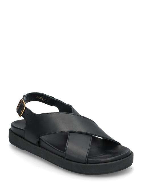 Nico Leather Sandals ALOHAS Black