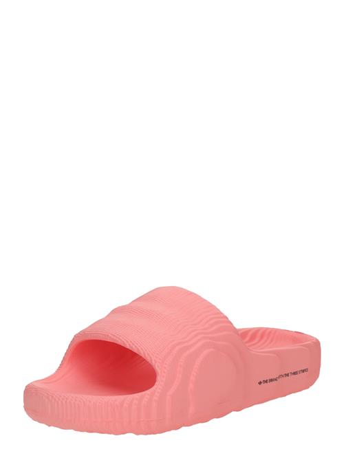 ADIDAS ORIGINALS Pantoletter 'ADILETTE 22'  melon