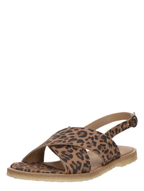 Ca'Shott Sandaler 'CASGITTA'  brun / sort