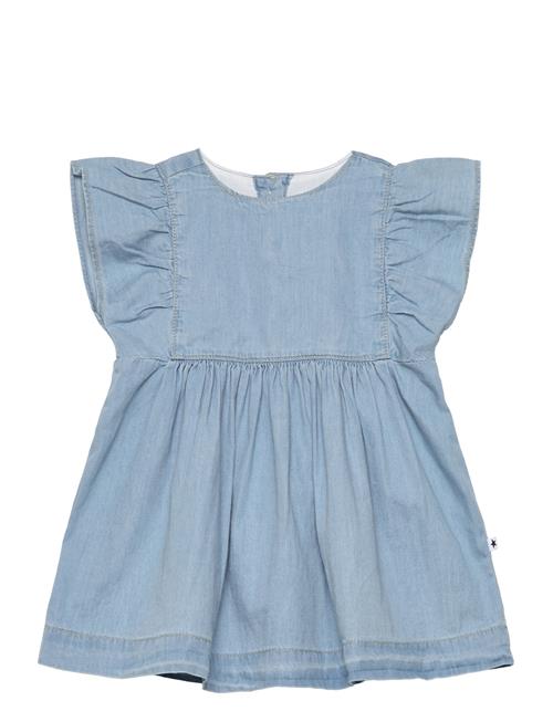 Se Chantal Molo Blue ved Booztlet
