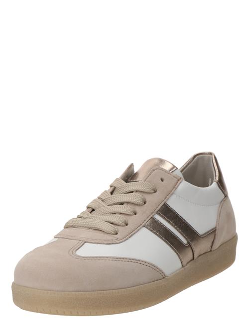 GABOR Sneaker low  beige / champagne / hvid