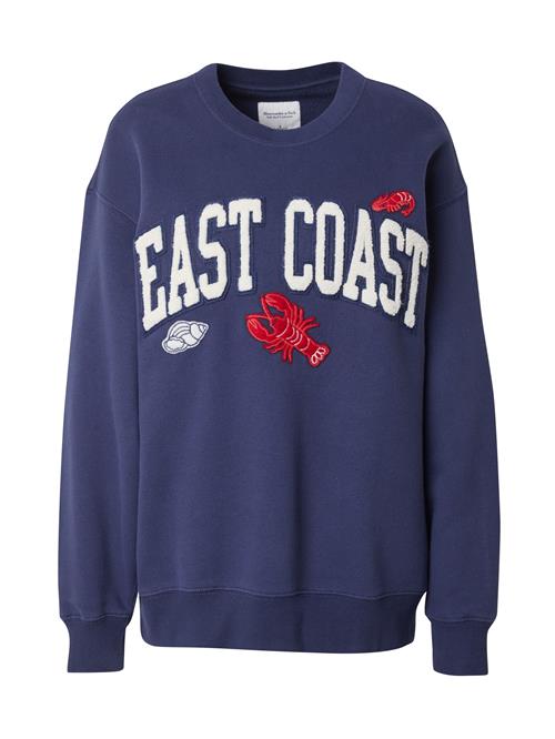 Abercrombie & Fitch Sweatshirt 'DESTINATION'  navy / rød / hvid