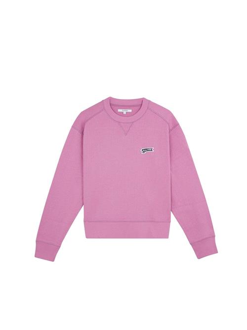 Scalpers Sweatshirt ' '  lilla / lysviolet