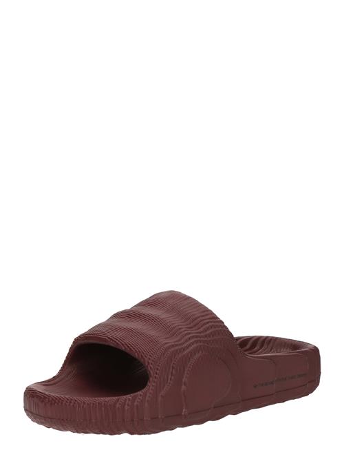 ADIDAS ORIGINALS Pantoletter 'ADILETTE 22'  burgunder