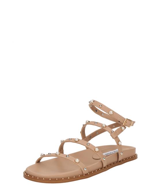 STEVE MADDEN Sandaler med rem 'Stormie'  beige / perlehvid