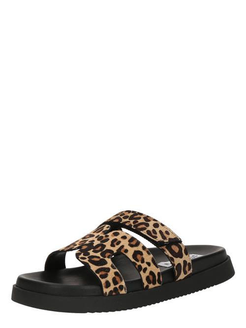 STEVE MADDEN Pantoletter 'Missile'  cognac / cappuccino / sort