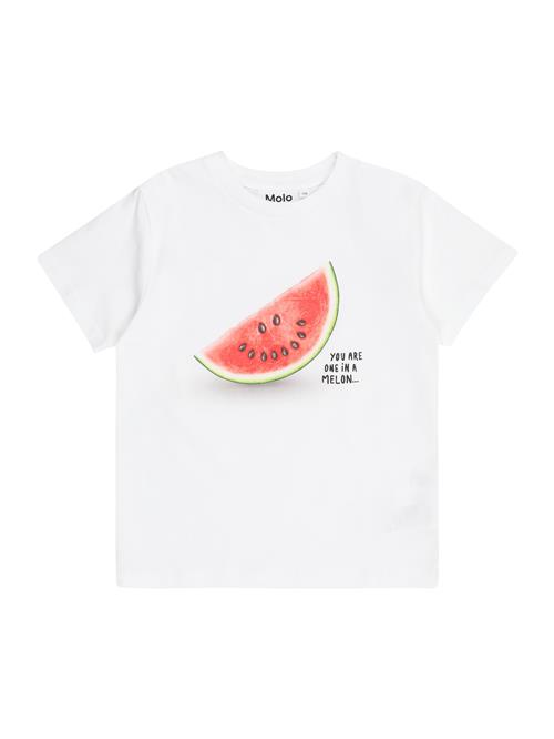 Molo Bluser & t-shirts 'Rame'  rød / melon / hvid