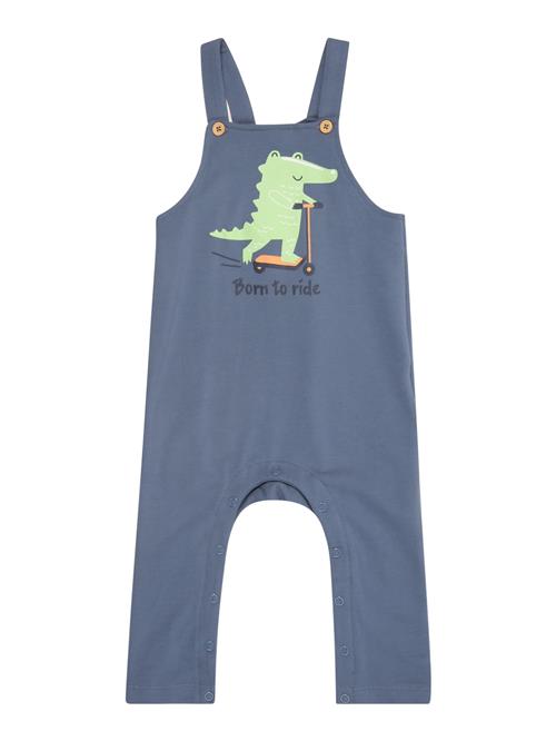 NAME IT Overalls 'NBMVONNE'  safir / lysegrøn / orange / sort