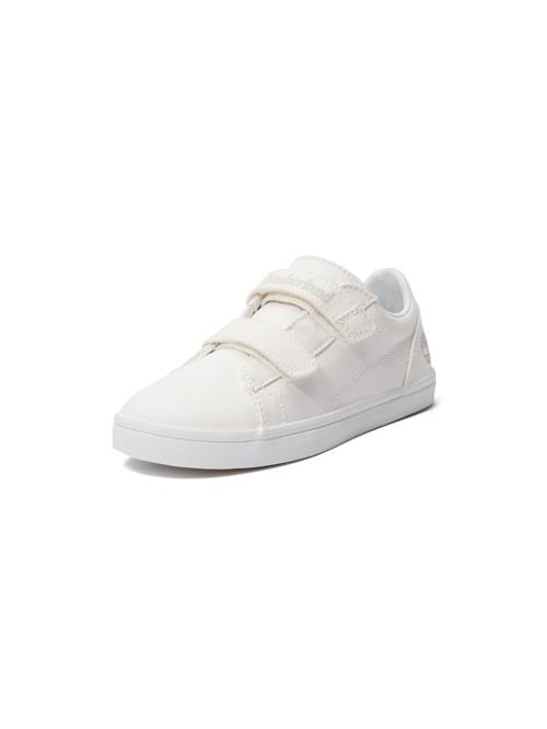 TIMBERLAND Sneakers  hvid