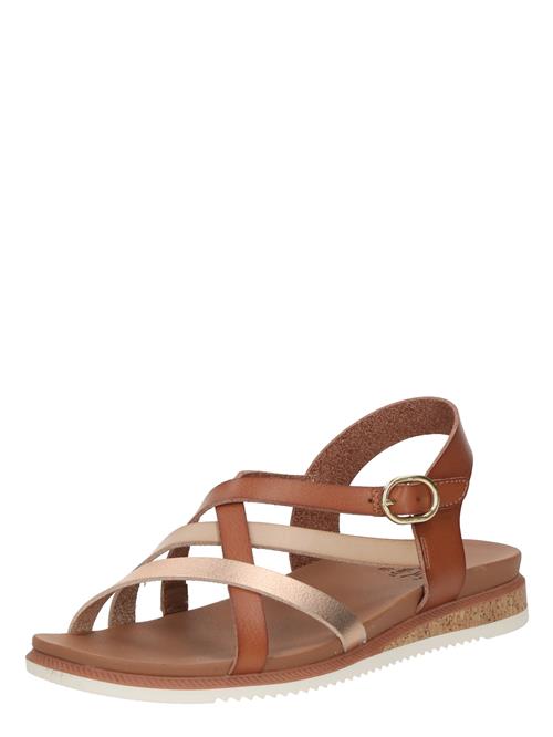 SKECHERS Sandaler med rem 'DESERT KISS - PEAK RANK'  beige / brun / guld