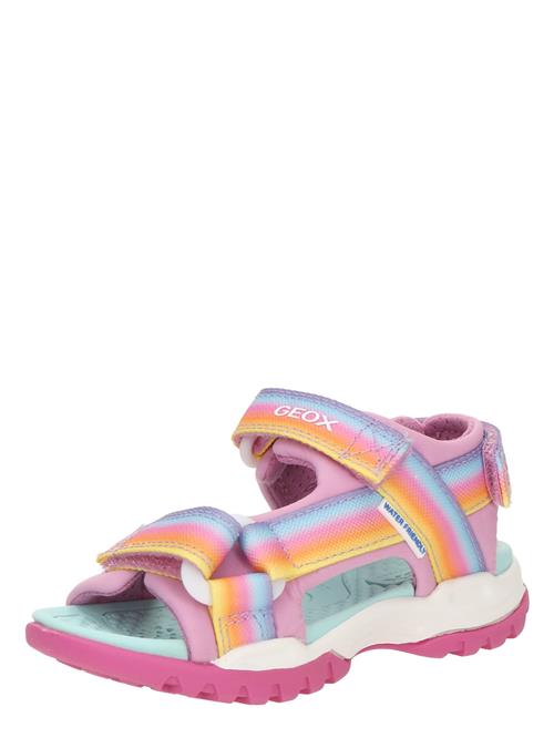GEOX Sandaler 'BOREALIS'  lyseblå / gul / orange / lys pink