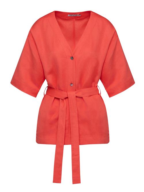 Quiosque Blazer  koral