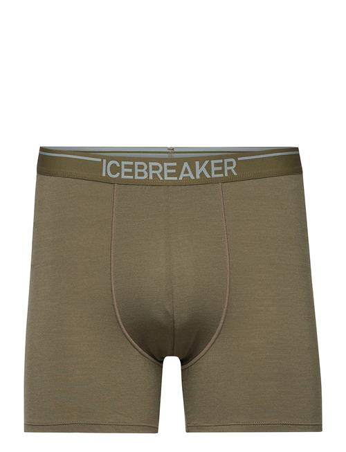 Men Merino 150 Anatomica Boxers Icebreaker Green