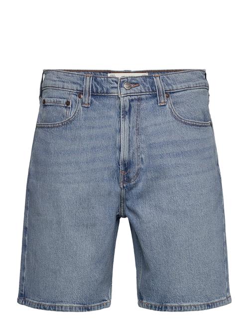 Hco. Guys Shorts Hollister Blue