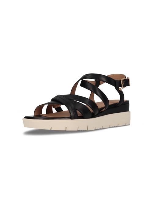SALAMANDER Sandaler med rem  sort