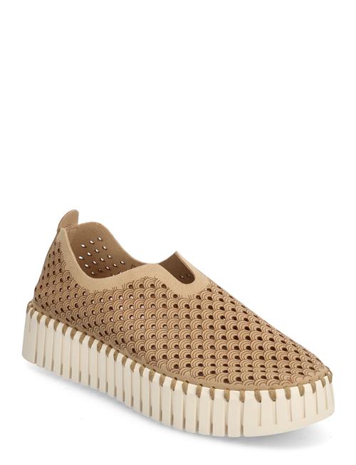 Flats Ilse Jacobsen Brown