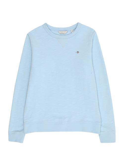 GANT Shirts  lyseblå