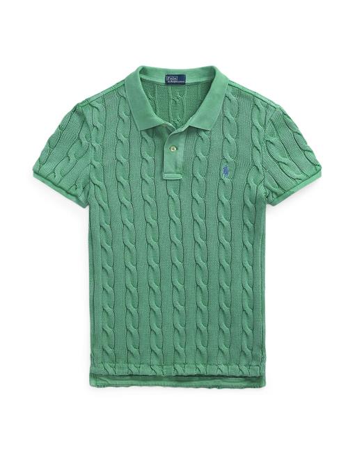 Polo Ralph Lauren Pullover  blå / siv