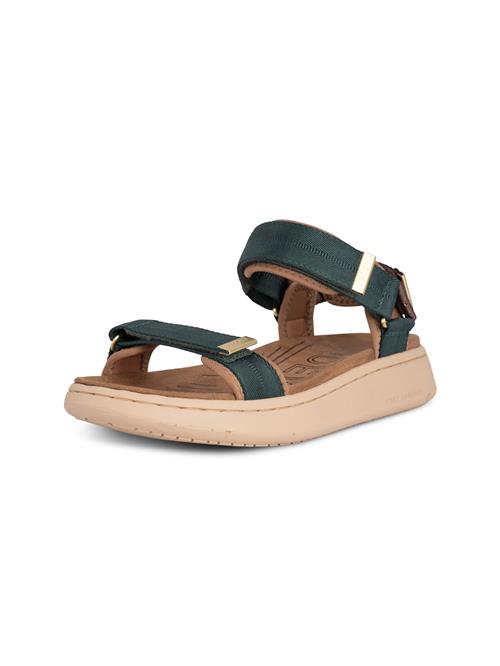 WODEN Sandaler 'Line'  champagne / grøn