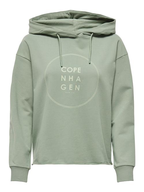 JDY Sweatshirt 'JDYGamma'  oliven / lysegrøn