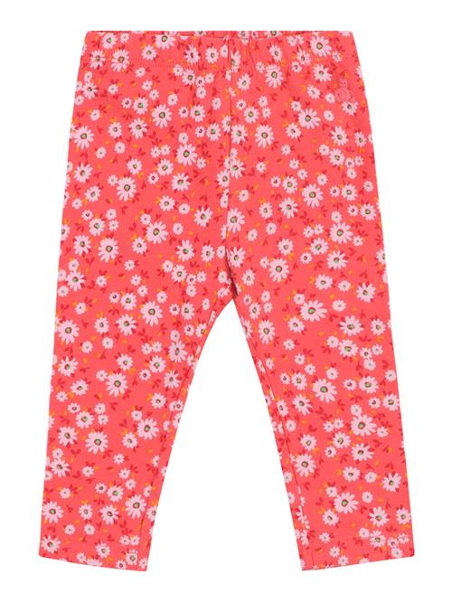 GAP Leggings  lysegrøn / orange / koral / lyserød
