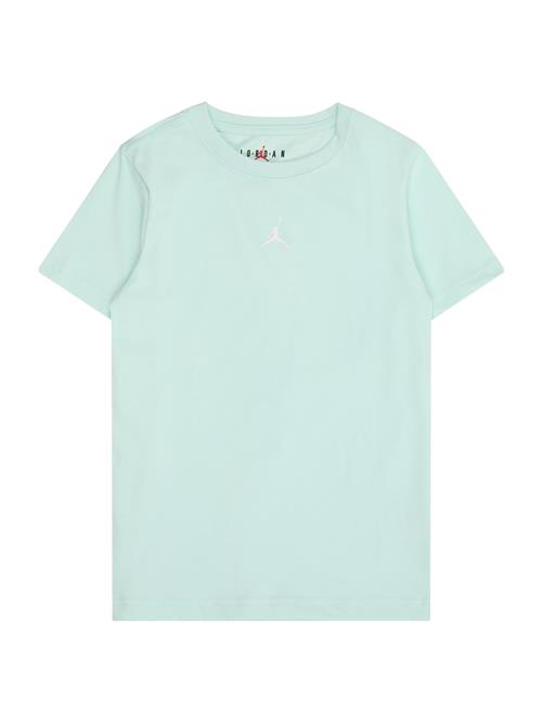Jordan Bluser & t-shirts  himmelblå / hvid