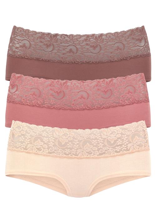 VIVANCE Panty  bær / pudder / burgunder