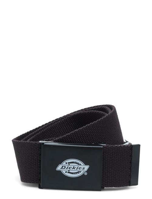 Orcutt Webbing Belt Dickies Brown