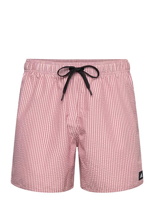 Stripy Clx Swim Short Short Length Adidas Sportswear Red