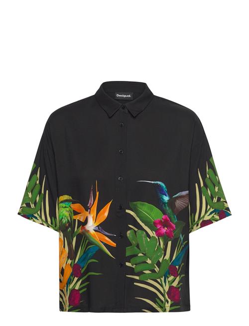 Artemisa Desigual Black