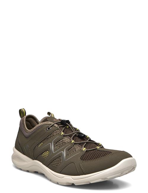 Terracruise Lt M ECCO Brown