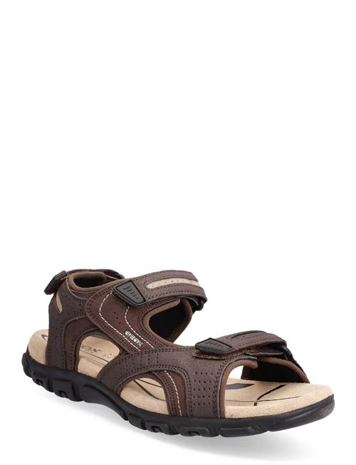 Uomo Sandal Strada D GEOX Brown