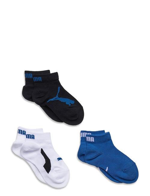Puma Kids Bwt Quarter 3P PUMA Blue