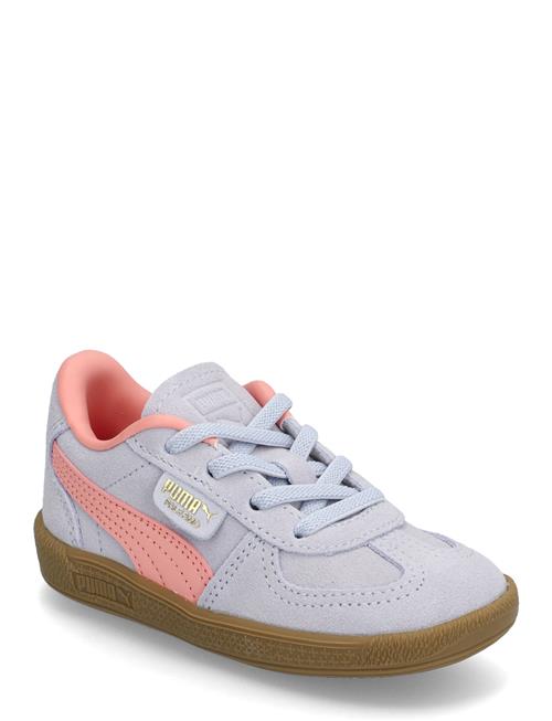 Palermo Ac Inf PUMA Blue