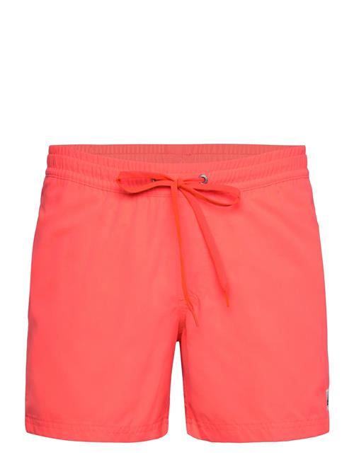 Everyday Solid Volley 15 Quiksilver Pink
