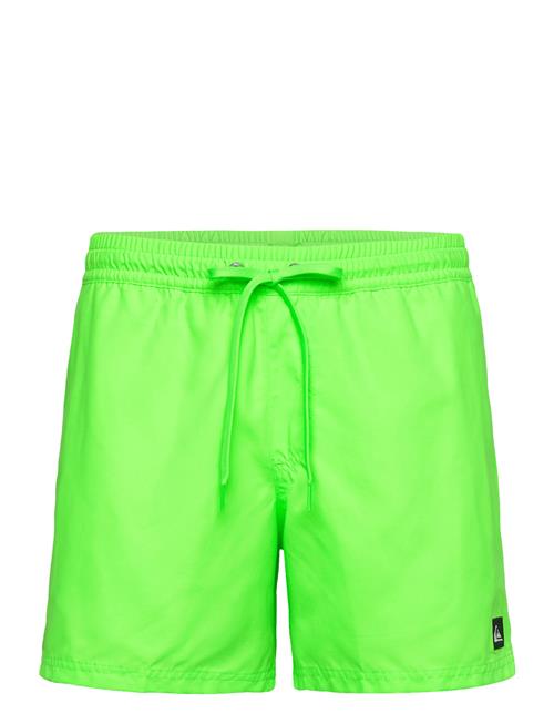 Everyday Solid Volley 15 Quiksilver Green